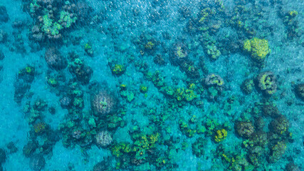 Top view. Summer sea water, blue surface. The water is clear with ripples and sparkles in the sunlight and you can see coral under the sea	