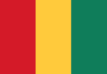 Guinea flag illustrator country flags