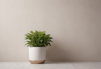 plant in a flowerpot
