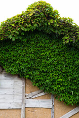 街中の様々な建造物の壁の模様