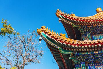 Take close-up shots of partial details of ancient buildings in the Forbidden City in Beijing, China