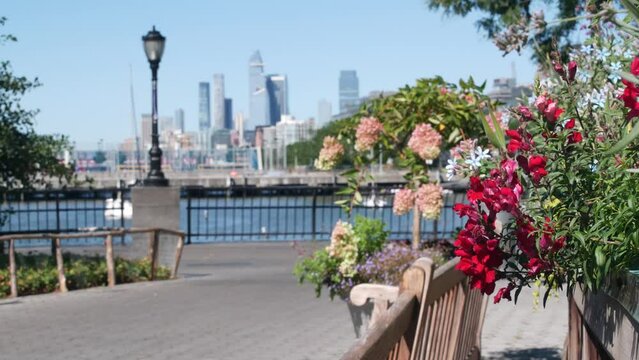 New York City waterfront, Manhattan skyline from Downtown Rockefeller Park, Hudson Yards riverfront skyscrapers. Waterside cityscape, United States architecture. Summer flowers bloom in wind, bench.