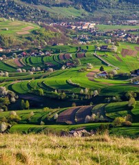 Beautiful countryside around Hrinova city with green fields, blooming cherry trees and white church on the top of th hill. Amazing spring landscape of Podpolanie region, Slovakia.  © Ivan