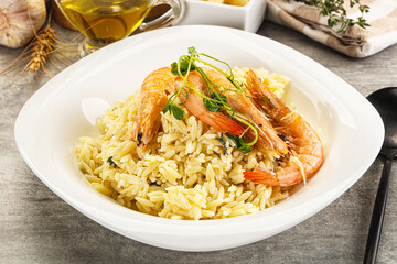 Italian pasta Orzo with prawn
