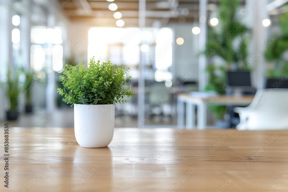 Poster a potted plant sits on a wooden table in a room with a view of a window