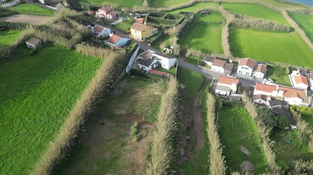 Azores from drone view, early sunny morning with view of houses surrounded by fields. In the background the coast with the sea. Portugal