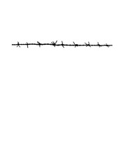 barbed wire isolated