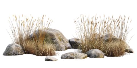 3d render of flat brown grasses with rocks isolated on white background