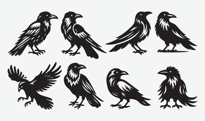 Obraz premium Birds Silhouette Vector Collection Hand drawn