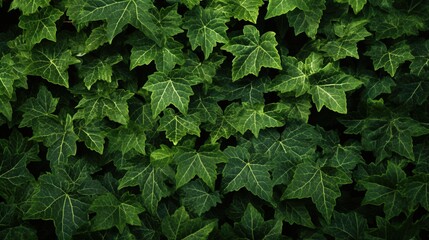 green leaves background