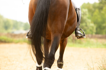 a rider's leg in boots, a man on a horse