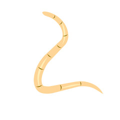 intestinal worm vector icon