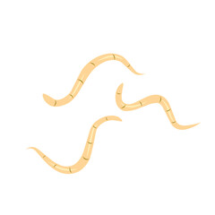intestinal worm vector icon