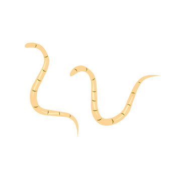 yellow worms on white background clip art preview