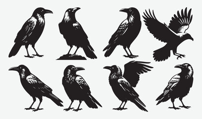 Fototapeta premium Birds Silhouette Vector Collection Hand drawn