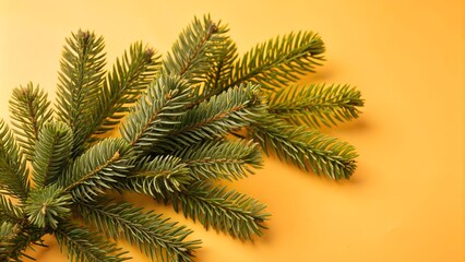 Obraz premium Beautiful green fir tree branches close up. Christmas and winter concept, close up of Christmas trees branches green texture background. 