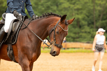 human-horse interaction, during equestrian competitions, horse riding, elegant riding outfit © Anna