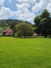 Beautiful peaceful lawn in Kibbutz HaZore'a