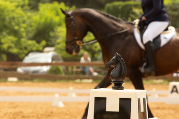 human-horse interaction, during equestrian competitions, horse riding, elegant riding outfit © Anna