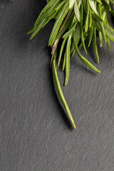 green fresh rosemary is a spice in cooking