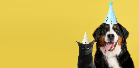 Cute dog and cat with party hats on yellow background, banner design. Space for text © New Africa