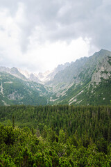 A stone hiking trail leads through a dry, grassy landscape toward a distant overlook with a clear blue sky above. Picturesque mountain landscape.