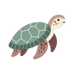 Tropical turtle illustration. Vector illustration. Isolated on white background. Cartoon sea animal. Children graphic for poster