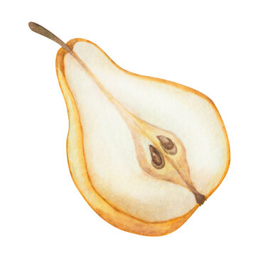 Watercolor pear illustration. Hand painted yellow, raw, ripe pear. Pear cut in half with seeds, pits, pips. Pear tree, plant. Sweet fruit. Nature element. Isolated food clip art