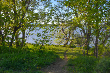 Luchegorsk reservoir in summer scenic view (Primorsky krai, Russia)