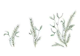 New Year's set of green plants and berry white mistletoe. Clipart with coniferous forest branches of spruce or fir. Watercolor hand drawing illustration on isolated white background.