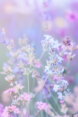 Obraz premium delicate floral arrangement in various shades of lavender, with a soft, blurred background