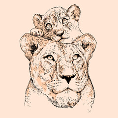 lion and cub head vector
