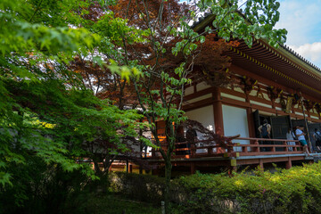 Fototapeta premium 久安寺