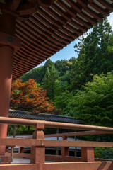 Fototapeta premium 久安寺