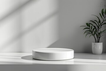 Minimalist Interior White Platform Display