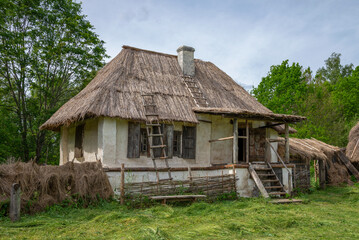Obraz premium A rural house. Pskov region, Russia