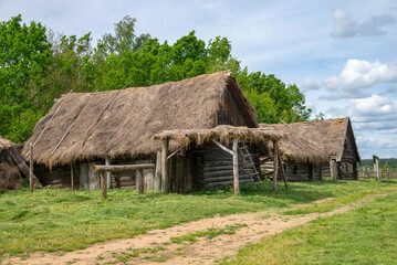 Rural log houses in an abandoned village. Pskov region, Russia
