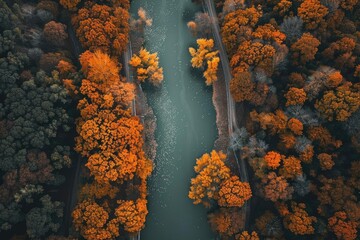 Aerial view of a river flowing through a vibrant autumn forest with a stunning palette of orange, red, and green foliage.