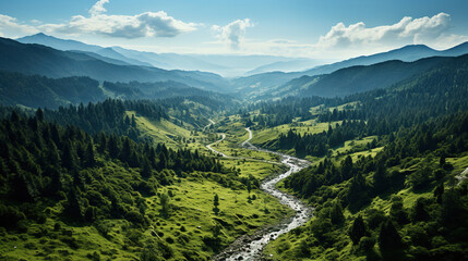 Obraz premium Aerial View Of The Rainforest And Winding River and Pathway With Mountains Landscape Background