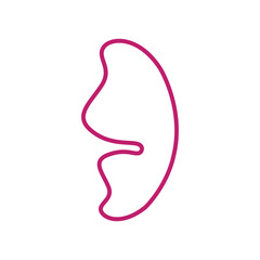 illustration of half butterfly wings and fairy wings in pink line style. Can be used for various purposes such as illustrating children's fairy tales, story book frames, etc