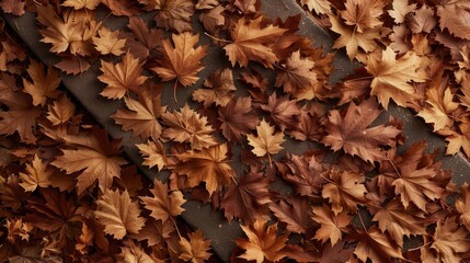 Close-up of autumn leaves scattered on the ground, showcasing the rich and warm colors of fall with a rustic and natural feel.