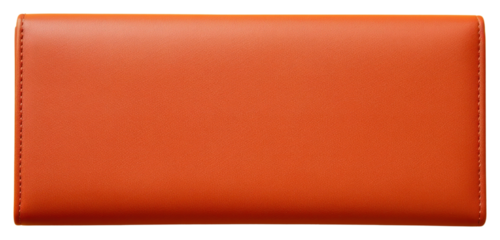 PNG Female long wallet accessories simplicity rectangle.
