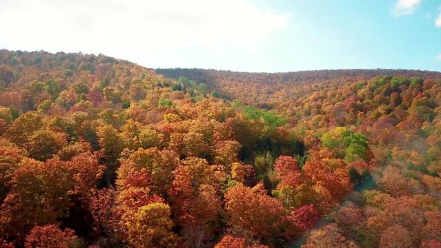 4K drone video autumn fall foliage season colorful leaves  changing and trees in the mountains and hills from above in Vermont and New England.