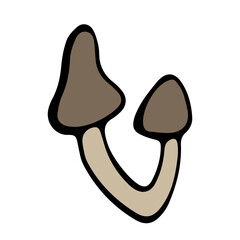 Obraz premium Vector isolated illustration of inedible mushrooms on a white background.