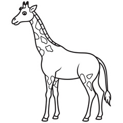 giraffe vector illustration