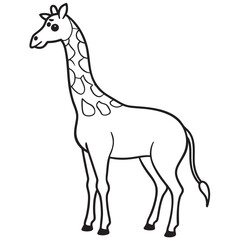 giraffe vector illustration