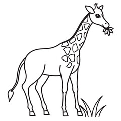 giraffe cartoon illustration