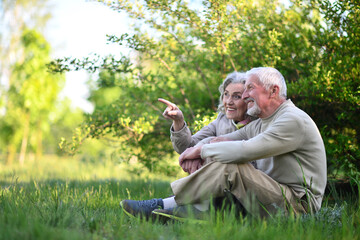 Portrait of senior couple sitting on the grass in the park