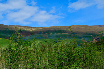 Magical landscapes of Iceland. A picturesque scene of a verdant meadow stretching towards a...