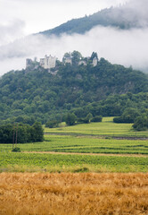 A scenery view of French vineyard field with wheat field in foreground, greenery trees during summer and mountain with fortress over the hill with misty fog after rain